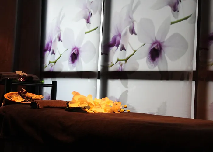 Hotel Eden Hotel&spa Cannes